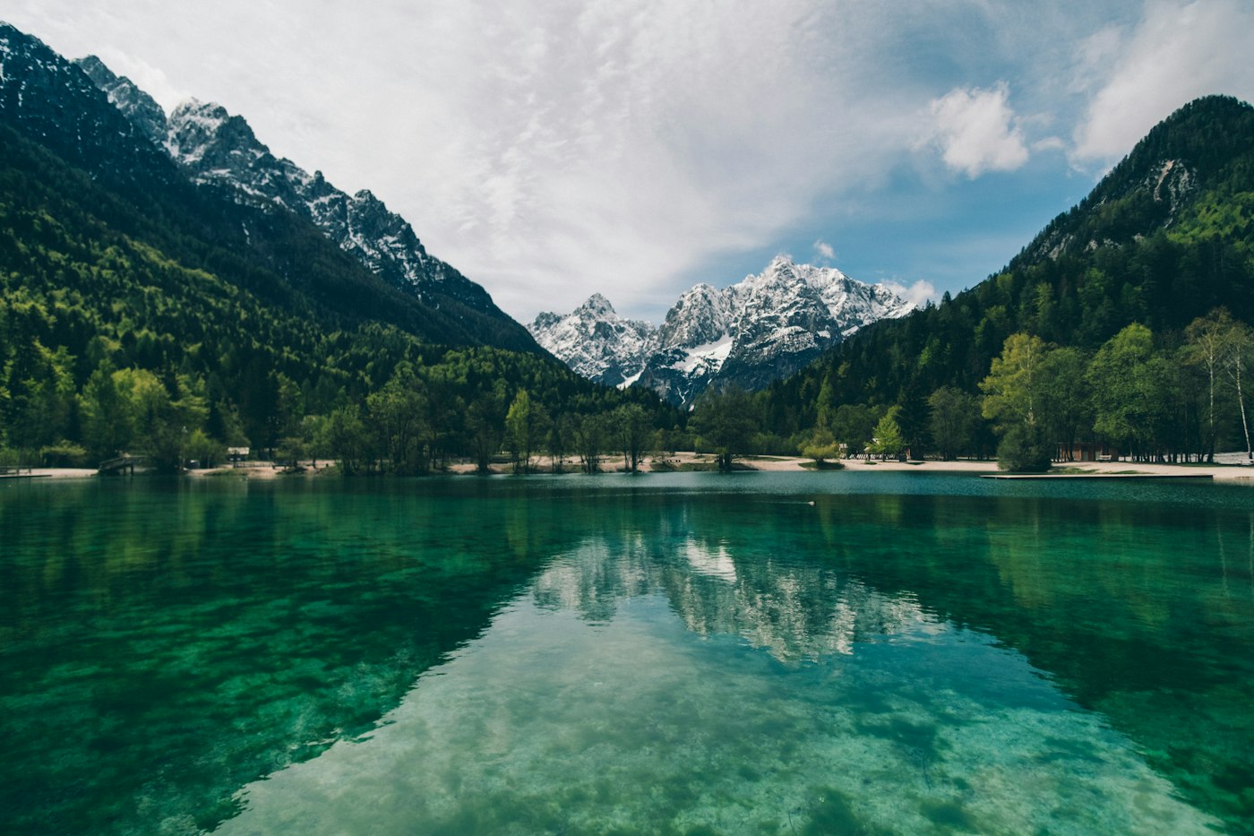 Mountain lake surrounded by forest